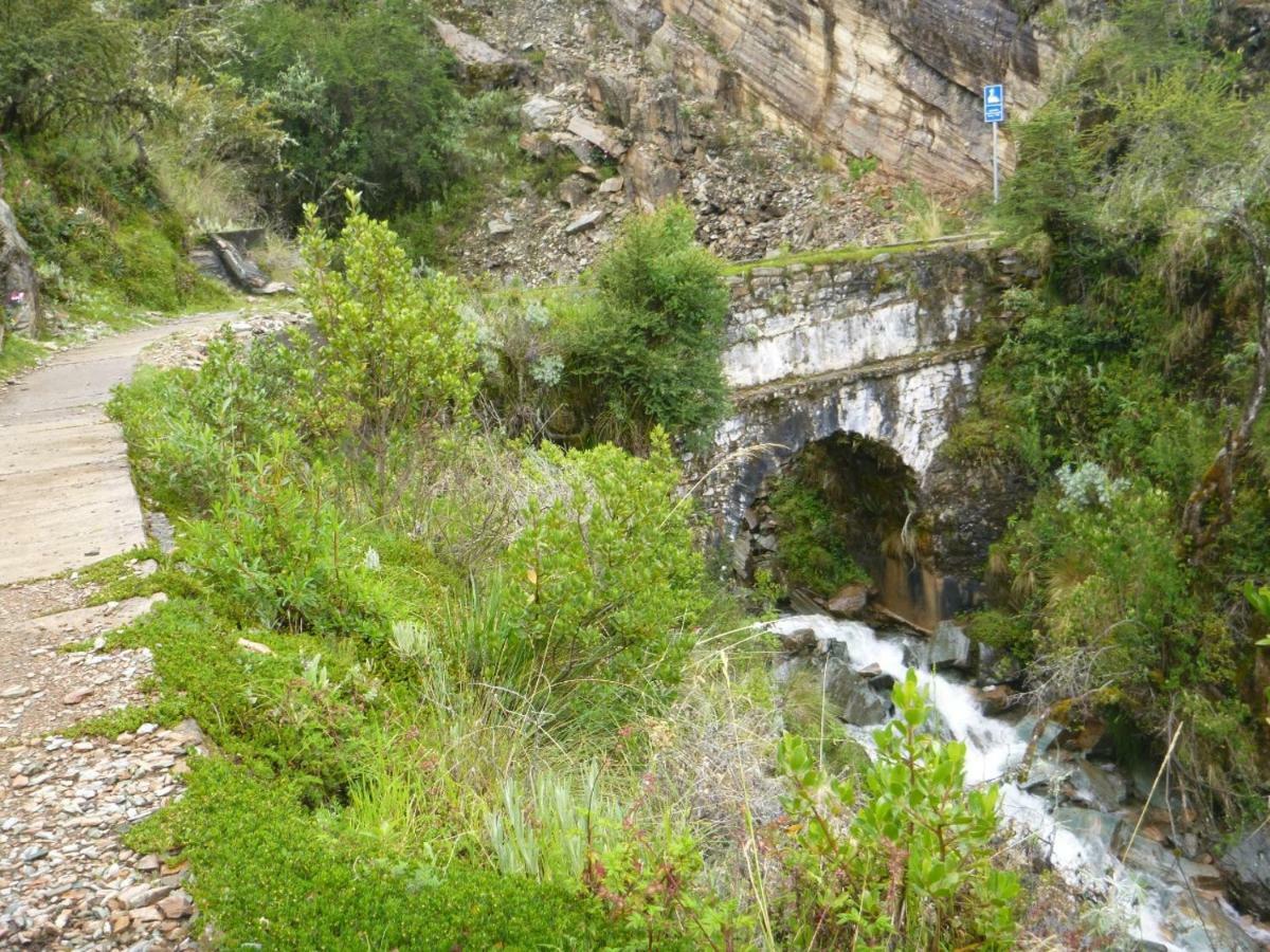 Salkantay Trek By Hostal